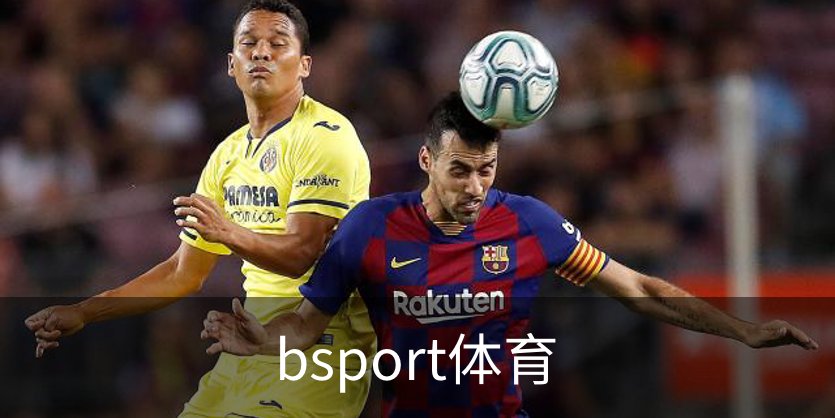 bsport体育概况